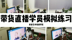 天津自媒体带货直播培训比较好,武汉电商带