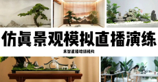 玉树TikTok直播带货培训学校内容,吉林短视频培训机构费用