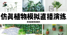 香港直播带货培训视频推荐平台,湘西短视频培训培训有不错的